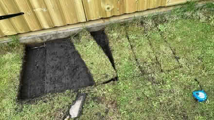 Photo of free Turf (Small area of 0.75m2) (Barrow nr Whalley BB7) #1