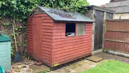Photo of free Shed (Thorpe Hamlet NR1) #2
