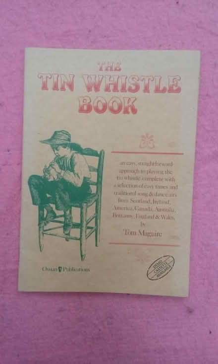Photo of free Tin Whistle tutor (Wrose BD18) #1