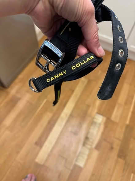 Photo of free Canny dog collar for 20-30kg dog (Kenley CR8) #1