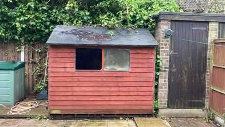 Photo of free Shed (Thorpe Hamlet NR1) #3