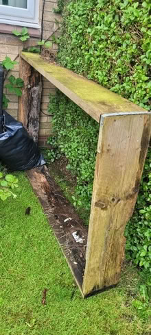 Photo of free Gardening/planting (West Denton NE5) #2