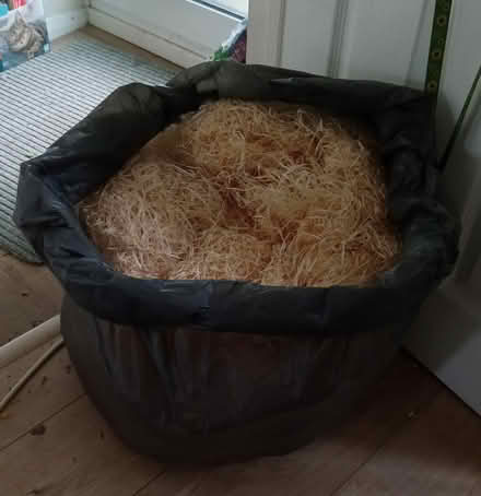 Photo of free Wood Shavings Packing Material (East Hoathly BN8) #1