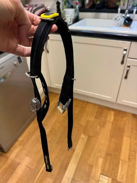 Photo of free Canny dog collar for 20-30kg dog (Kenley CR8) #2