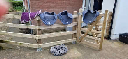 Photo of free Dog beds (Kirkcambeck CA8) #1