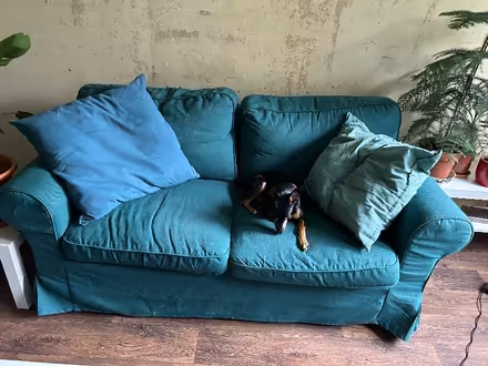 Photo of free ikea ektorp 2-seater sofa (Heeley S8) #1