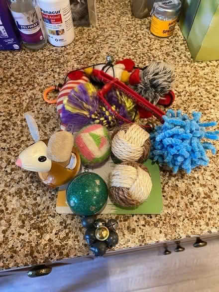 Photo of free Cat paraphernalia (St John's TN13) #2