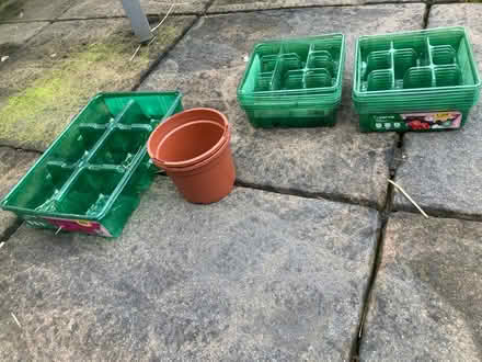 Photo of free Seed Trays (Timperley WA15) #1