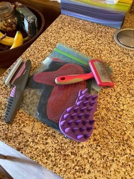 Photo of free Cat paraphernalia (St John's TN13) #1