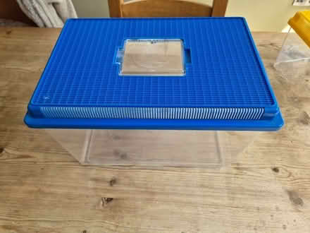 Photo of free Plastic Terrarium - various sizes (Furness Vale SK23) #3