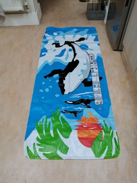 Photo of free Plastic beach lilo (Battle RG30) #1