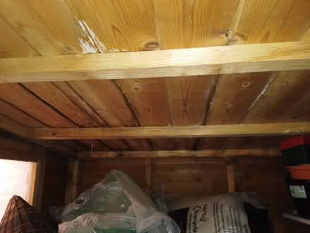 Photo of free Shed (minor damage) (Furzton MK4) #2