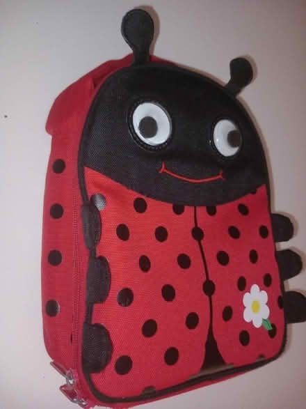 Photo of free Childrens: Ladybird lunch bag (Emmbrook RG41) #1