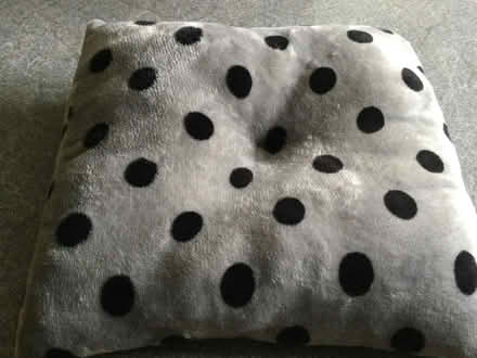 Photo of free Cat bed (Eye) #2