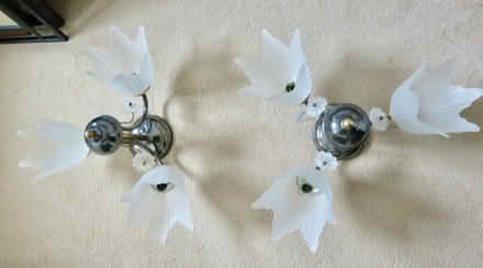 Photo of free Ceiling lights (Wallsend NE28) #1