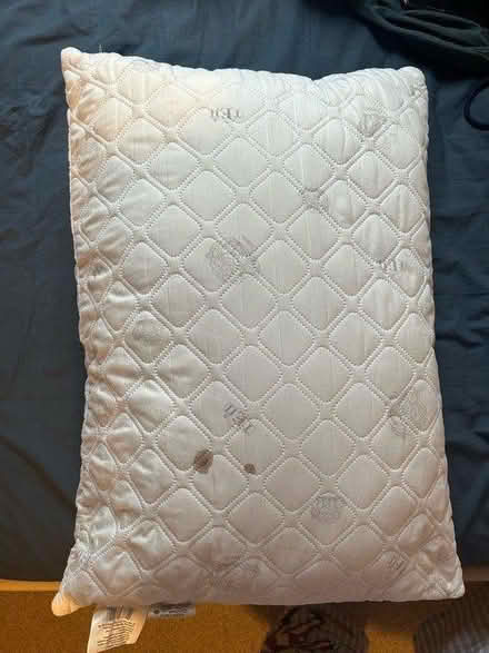 Photo of free 2x pillows 50*70 (Forrest hill station) #3