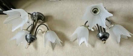 Photo of free Ceiling lights (Wallsend NE28) #2