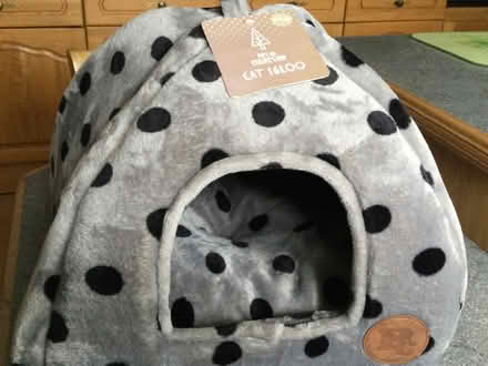 Photo of free Cat bed (Eye) #1