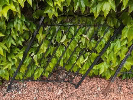 Photo of free Metal balustrades for exterior steps (Carrick Knowe EH12) #2