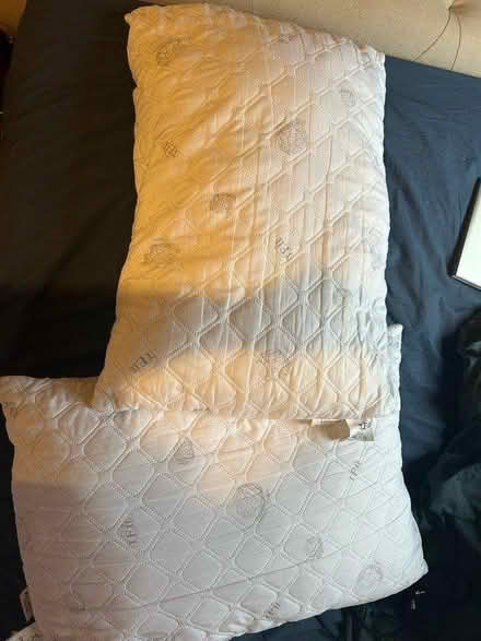 Photo of free 2x pillows 50*70 (Forrest hill station) #1