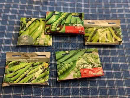 Photo of free Pea and Bean Seeds- multiple packets (Leegomery TF1) #1