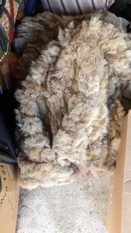 Photo of free Fox fur rag (Bradley Stoke BS32) #1