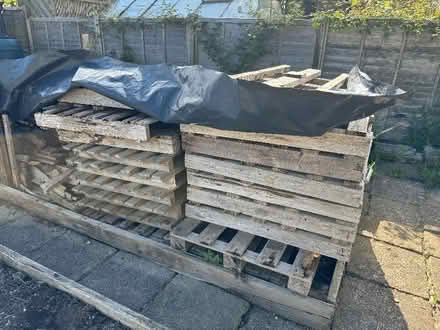 Photo of free Pallets (Willingdon BN22) #1