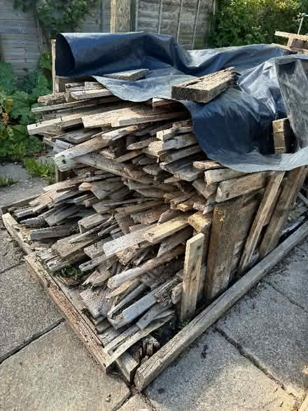 Photo of free Wood (Willingdon BN22) #1