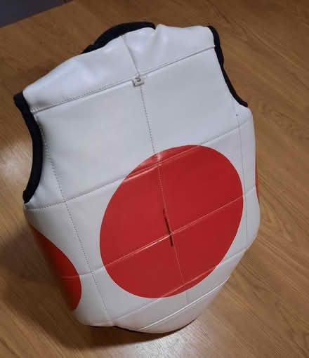 Photo of free Martial arts body armour (Paisley PA1) #1