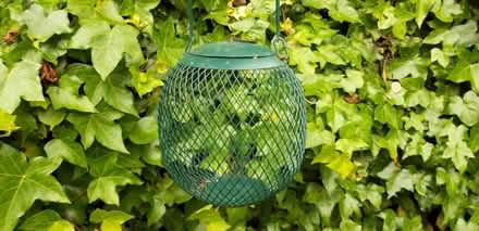 Photo of free Bird Feeder (Moorfields) #1