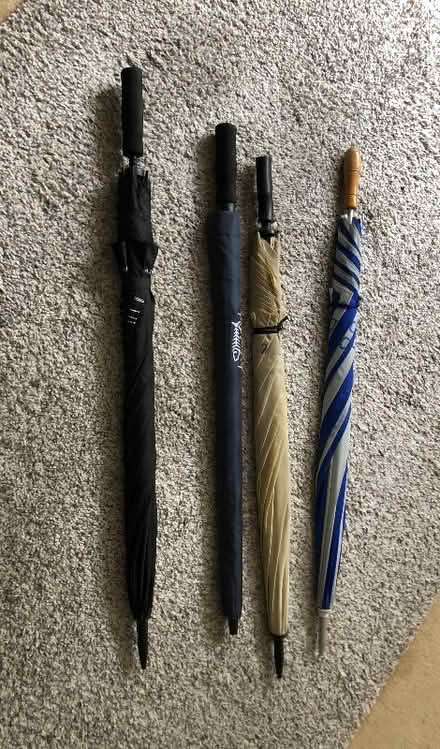 Photo of free Umbrellas (Hook Heath GU22) #1