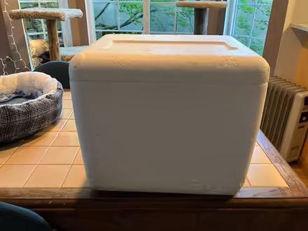 Photo of free Two Styrofoam coolers (Lake Forest Park) #1