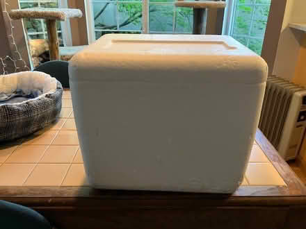 Photo of free Two Styrofoam coolers (Lake Forest Park) #1