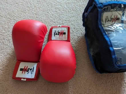 Photo of free 2 Pairs of Karate sparring mitts (Bolton-le-Sands LA5) #1
