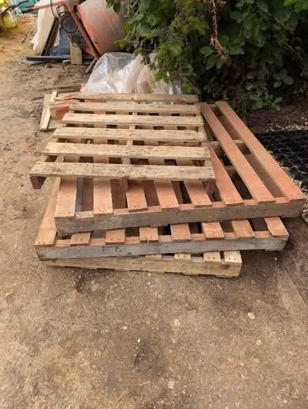Photo of free Pallets (University Area RG1) #1