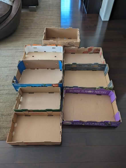 Photo of free Tray style boxes (Off route 62) #1