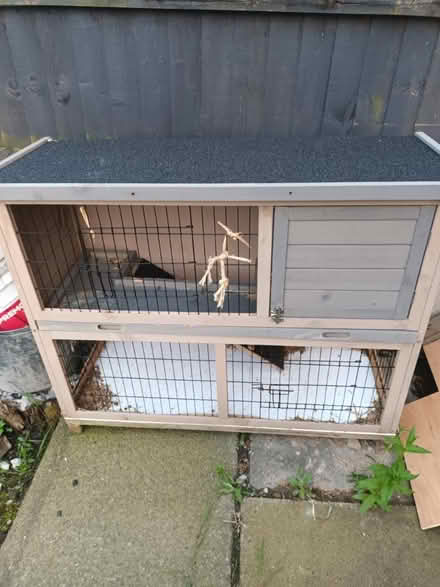 Photo of free Rabbit hutch (Droylsden M43) #1