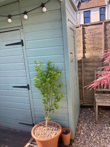 Photo of free Garden shed (Surrenden BN1) #4