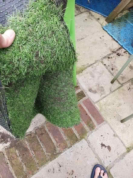 Photo of free Artificial Lawn 4m x 2m (Frome, BA11) #2