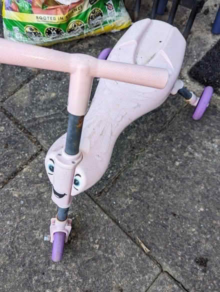 Photo of free Pink Scuttle Bug (Thatcham) #1