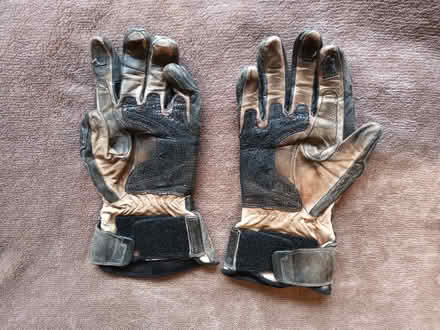 Photo of free Frank Thomas summer motorcycle gloves (Bagshot GU19) #2
