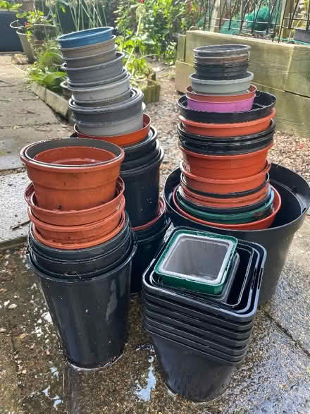 Photo of free Plastic plant pots (CT2) #1