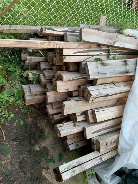 Photo of free Lumber/Wood and plywood (Landover hills) #2