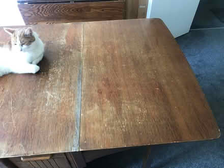 Photo of free Drop leaf dining table (Sutton SM1) #4