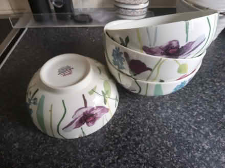 Photo of free Dinner bowls (Wigmore HR6) #1