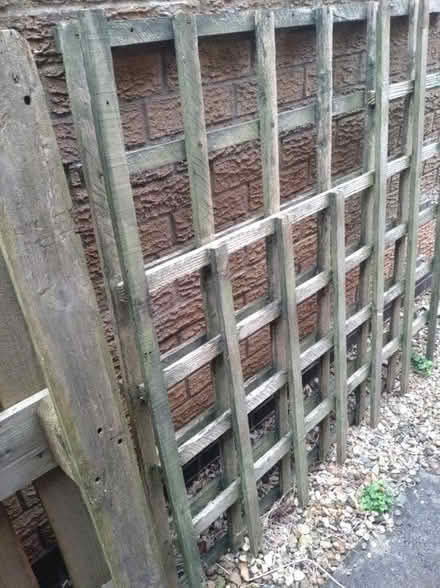 Photo of free Pallet and wooden trellis (Rushden town centre NN10) #2