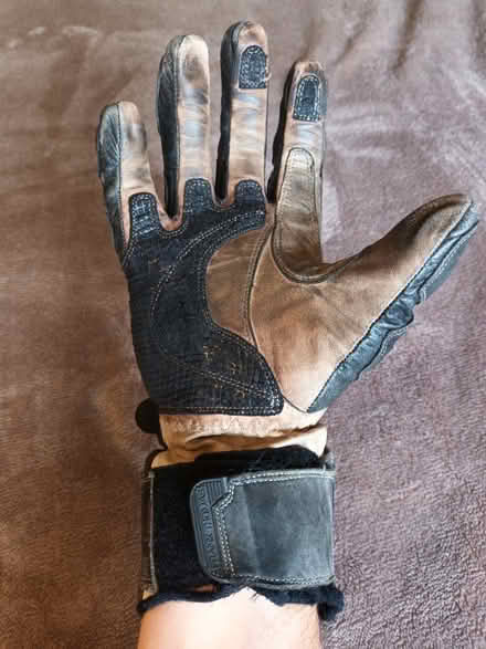 Photo of free Frank Thomas summer motorcycle gloves (Bagshot GU19) #4