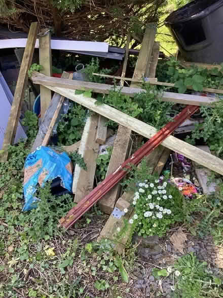 Photo of free Wood (Allithwaite LA11) #4