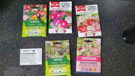 Photo of free Seeds (Kingsmoor CM19) #1