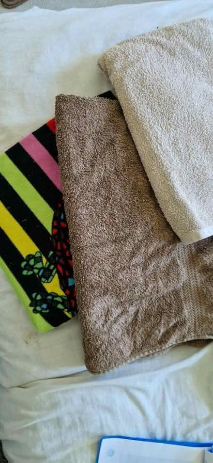 Photo of free Dog towels (GL12) #1